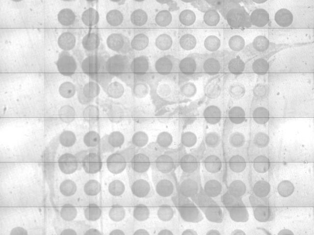Episcopic illuminated microarray